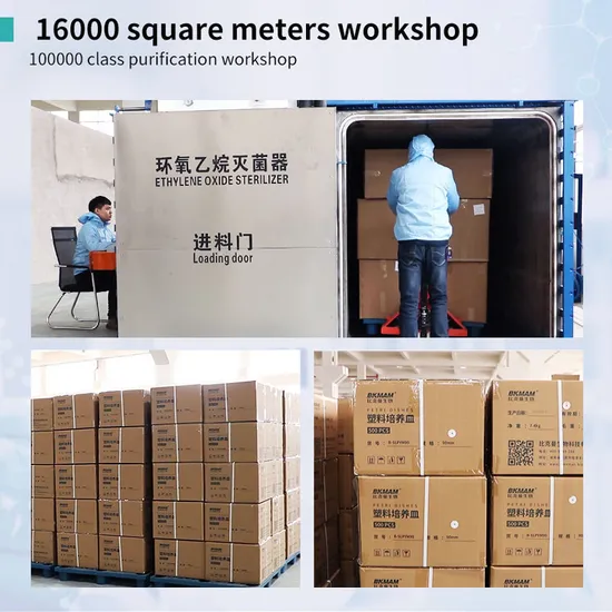 Plastic Test Tube Concial Bottom Thin Wall Sterile PCR Tube 